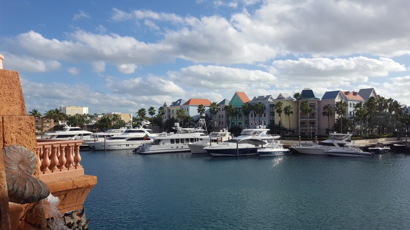 Yacht Harbor